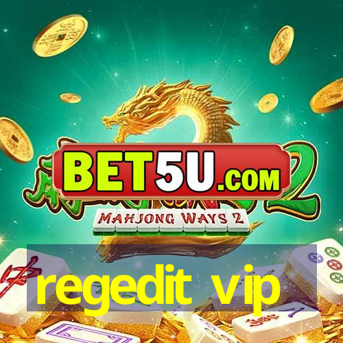 regedit vip